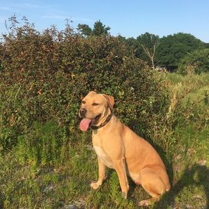 Meet your Posher, Chris